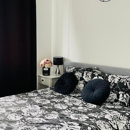 Torun Apartaments - Apartaments №17 エクステリア 写真