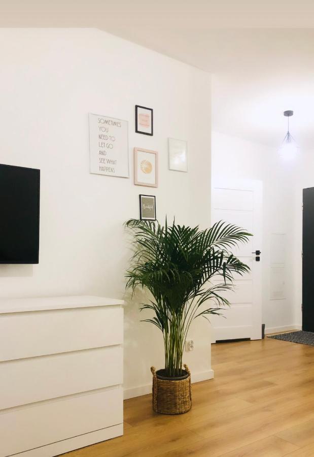 Torun Apartaments - Apartaments №17 エクステリア 写真